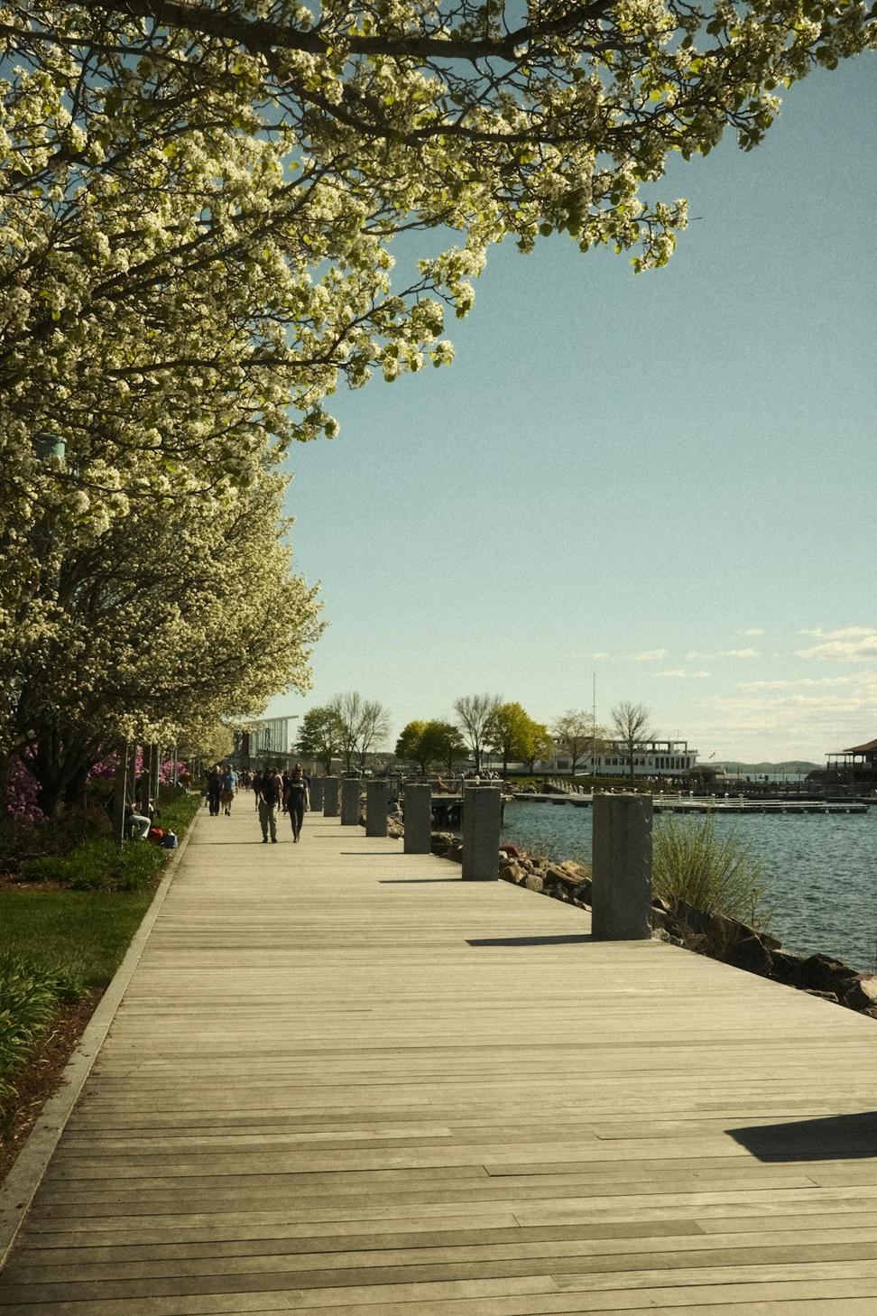 Sustainable waterfront architecture