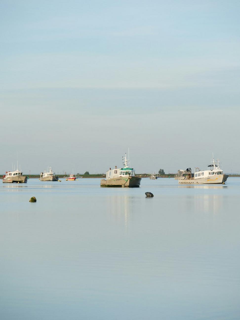 Horseshoe Bay Marina